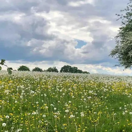 Σπίτι διακοπών Ferme De *